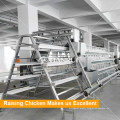 Easily Bird-harvesting Automtatic H Type Broiler Battery Cage